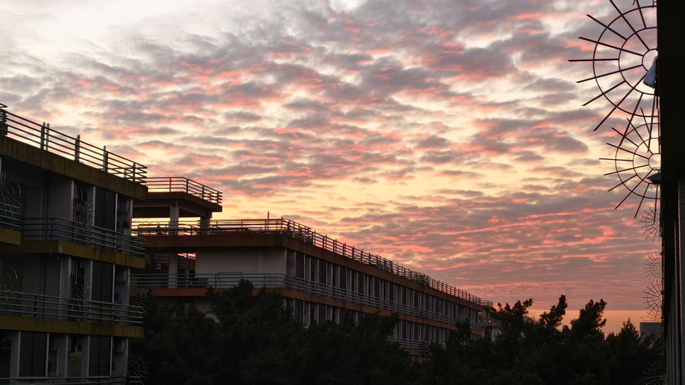 Featured image of post 2025年终总结